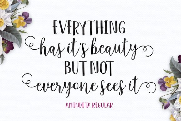 Anindita Font - Preview 4