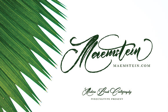 Austin Font - Preview 4