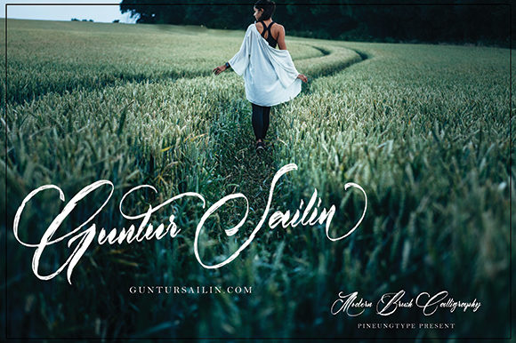 Austin Font - Preview 6