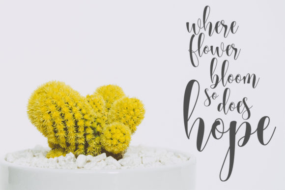 Babylove Font - Preview 2