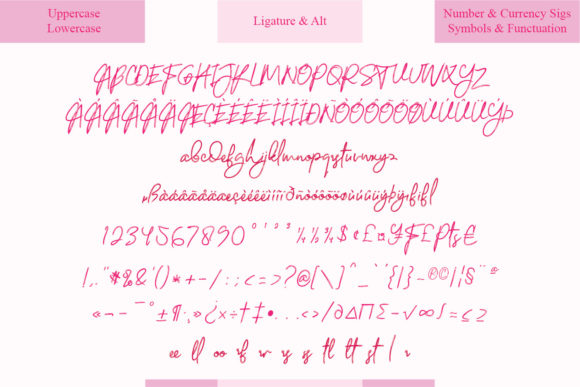 Elegiant Font - Preview 4