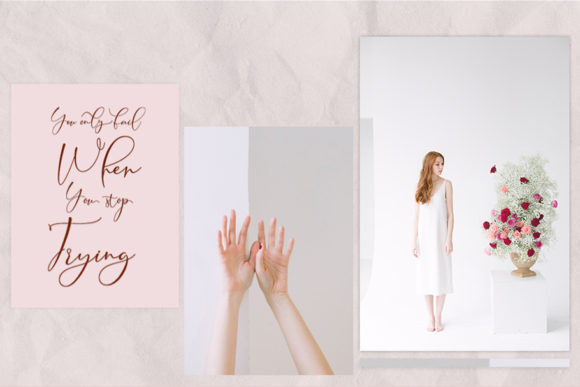 Camelia Stark Font - Preview 3