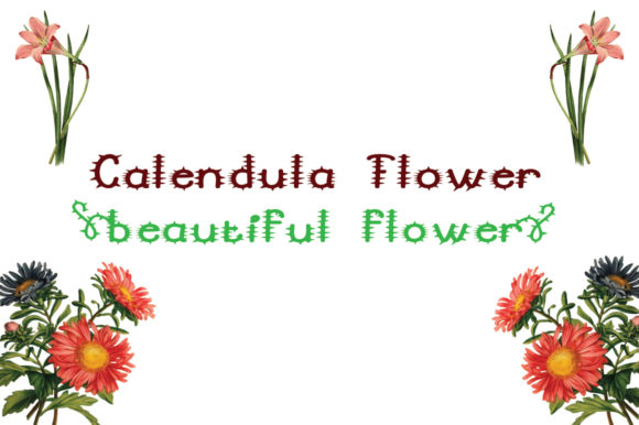 Cactus Font - Preview 1