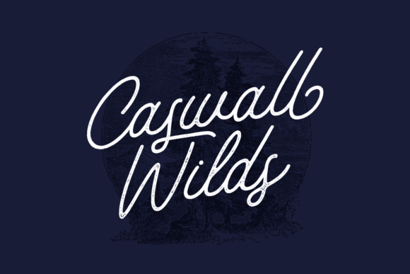Payland Font font preview - 6