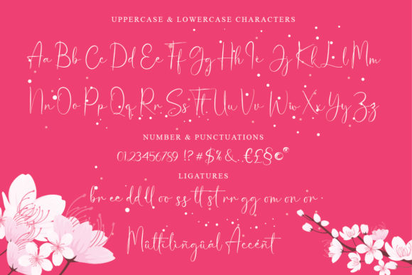 Helen Paris Font PNG with transparent background - Preview 2