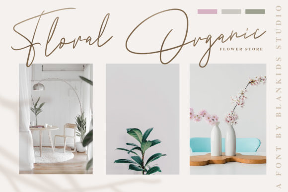 Andrea Belarosa Font - Preview 2