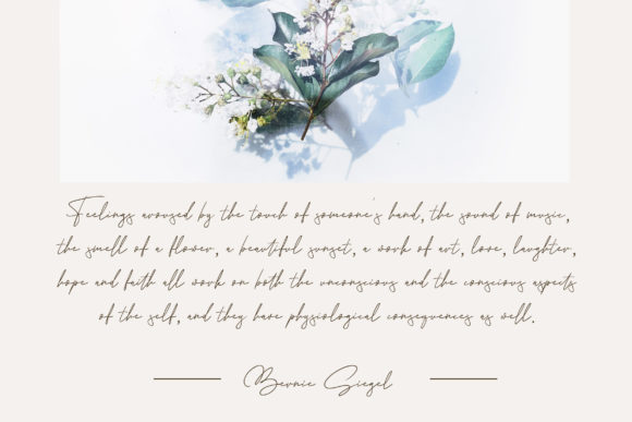 Andrea Belarosa Font - Preview 4