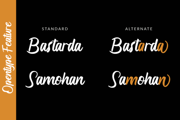 Anghora Font - Preview 4