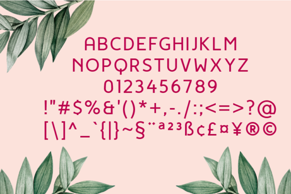 Kwoto Medium Font PNG with transparent background - Preview 2