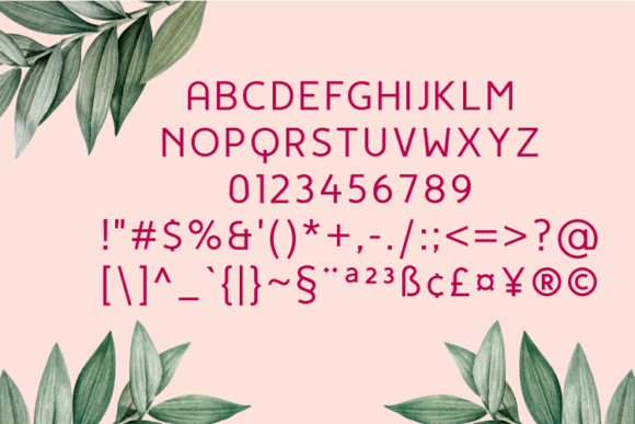 Kwoto Regular Font PNG with transparent background - Preview 2