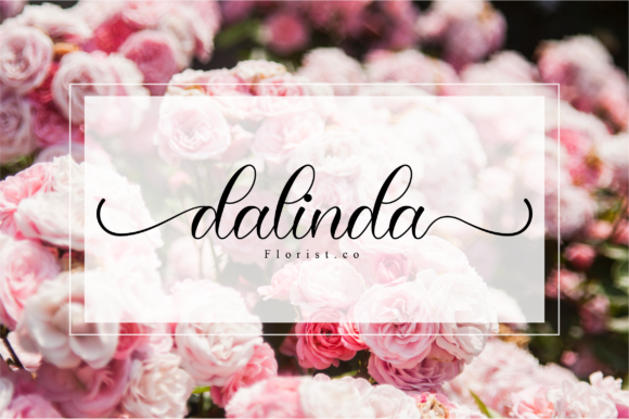 Junitta Font PNG with transparent background - Preview 2
