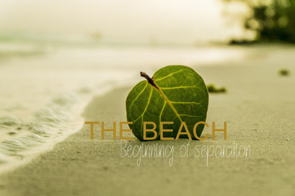 Jeconia Font PNG with transparent background - Preview 3