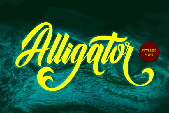 Alligator Script & Handwritten Font By Musafir LAB