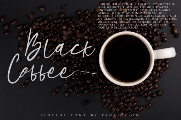 Beholde Font - Preview 3