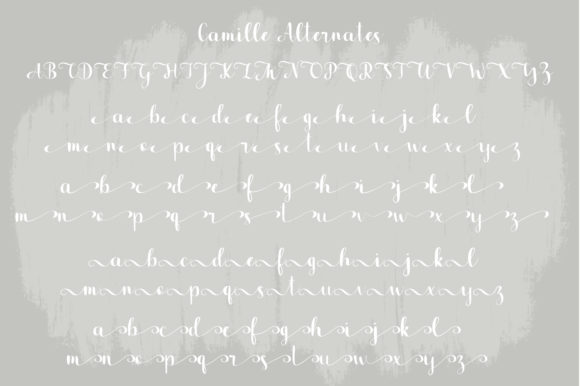 Camille Font - Preview 2