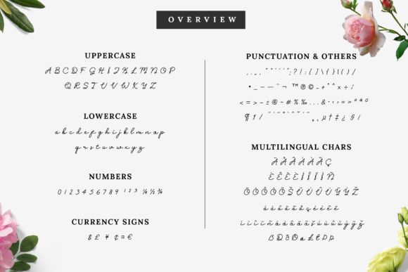 Clara Sydney Font - Preview 4