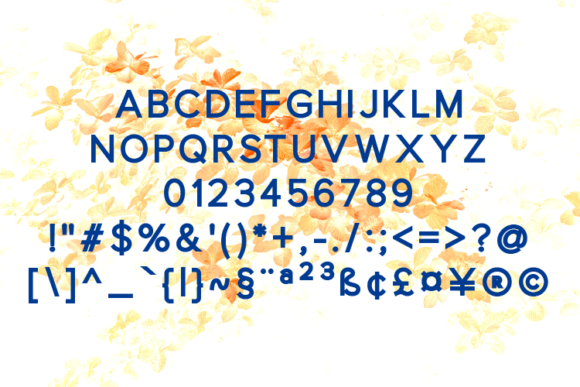 Gerkco Extra Black Font - Preview 1