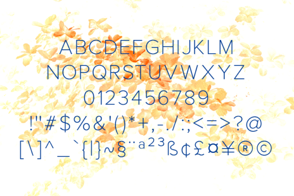 Gerkco Extra Light Font - Preview 1