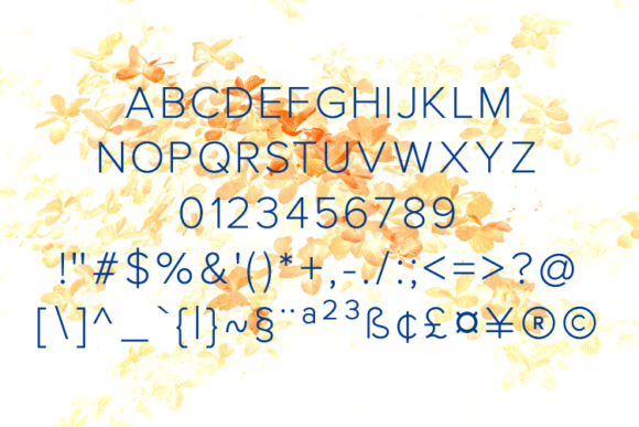 Gerkco Light Font - Preview 1
