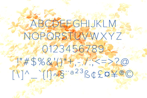 Gerkco Thin Font - Preview 1