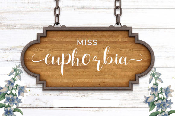 Kamelia Script Font PNG with transparent background - Preview 5