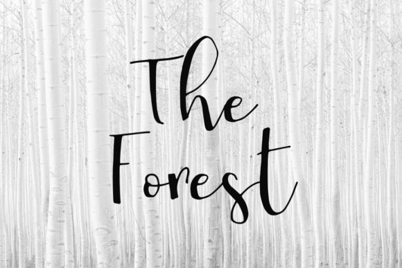 My Way Font PNG with transparent background - Preview 1