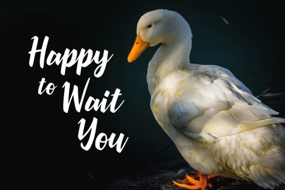 Quacky Font PNG with transparent background - Preview 2