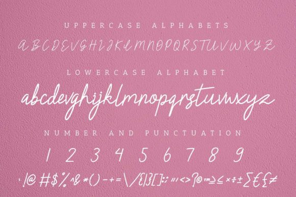 Claressa Font - Preview 5