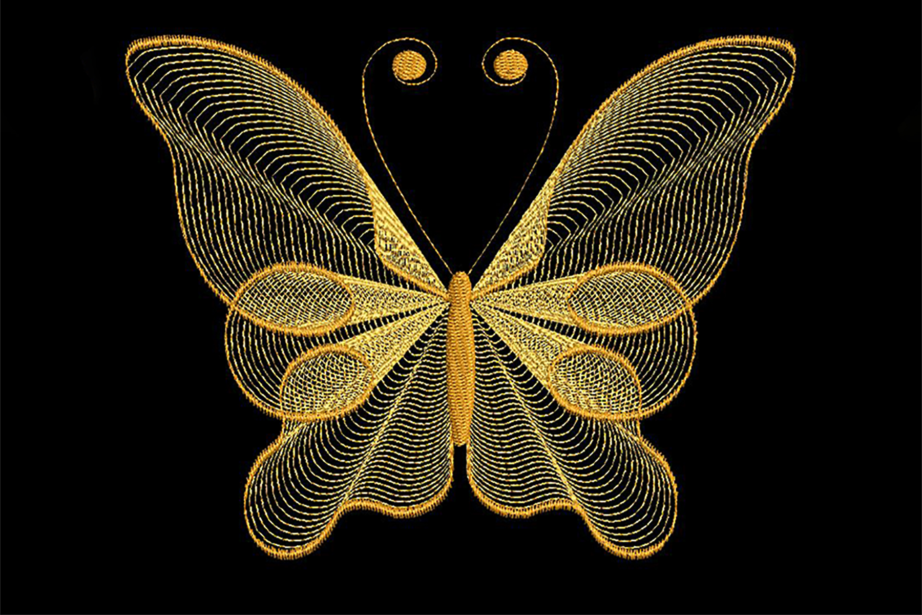 Delicate Butterfly