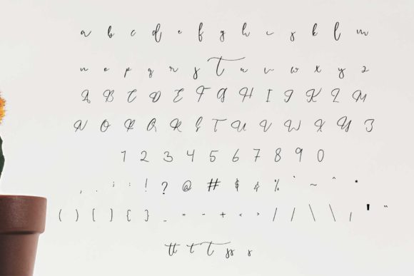 Endossement Font - Preview 1