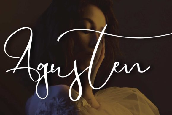 Endossement Font - Preview 2
