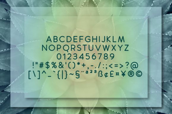 Manolo Black Font PNG with transparent background - Preview 1