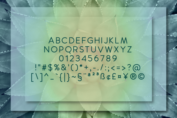 Manolo Bold Font PNG with transparent background - Preview 1