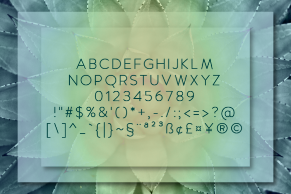 Manolo Medium Font PNG with transparent background - Preview 1