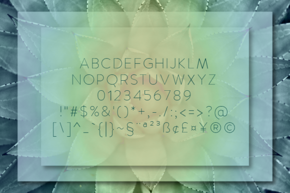 Manolo Thin Font PNG with transparent background - Preview 1