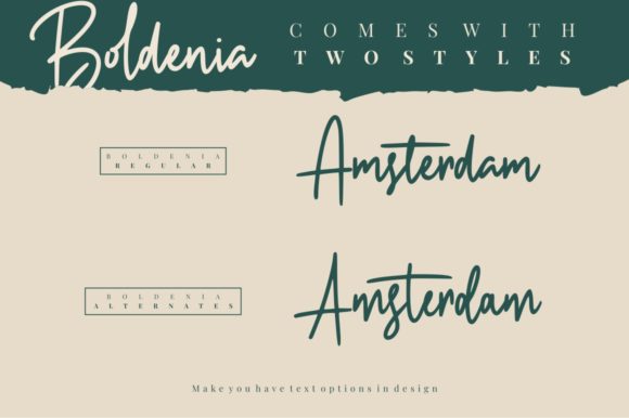 Boldenia Font - Preview 4