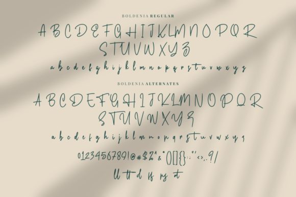 Boldenia Font - Preview 6