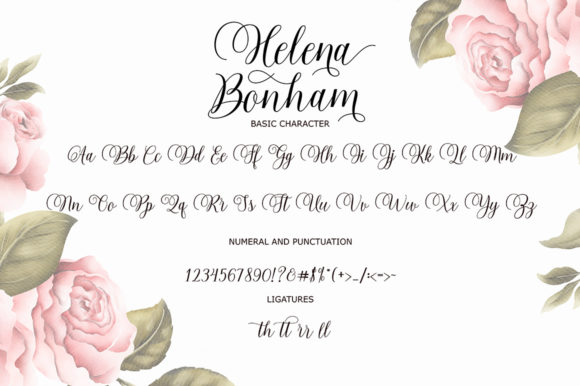 Helena Bonham Font PNG with transparent background - Preview 4
