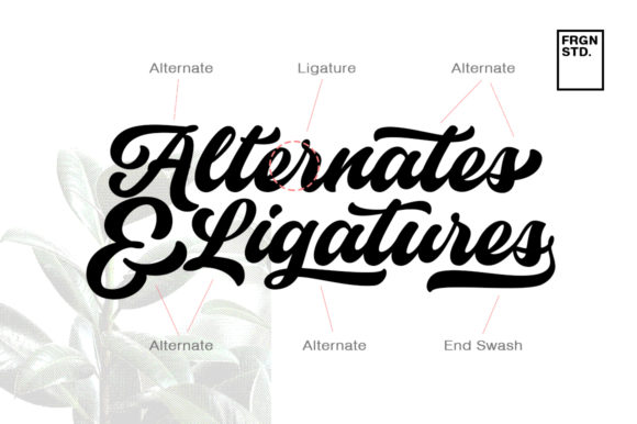 Historia Font PNG with transparent background - Preview 4