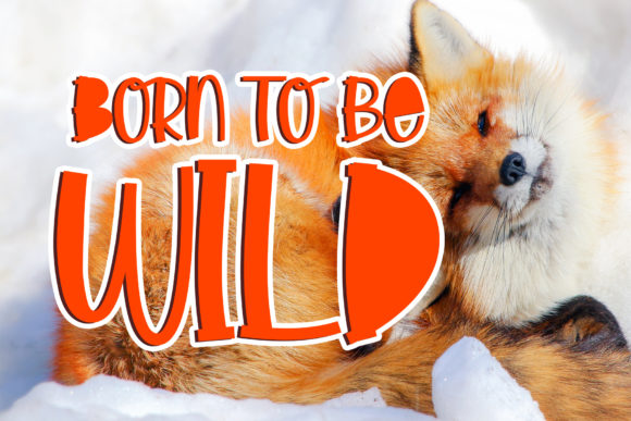 Little Foxie Font PNG with transparent background - Preview 2