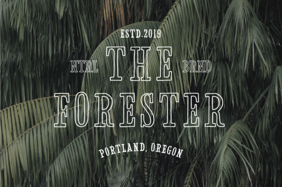 American Delighter Font - Preview 2