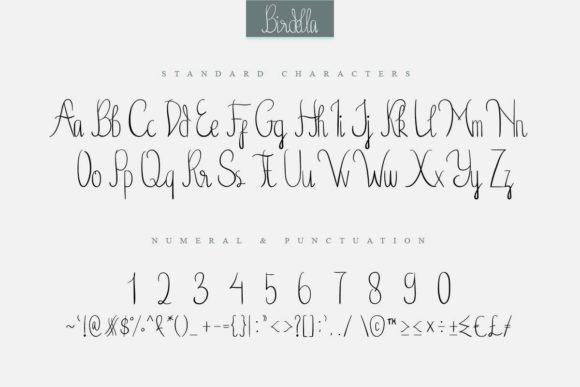 Birdella Font - Preview 3
