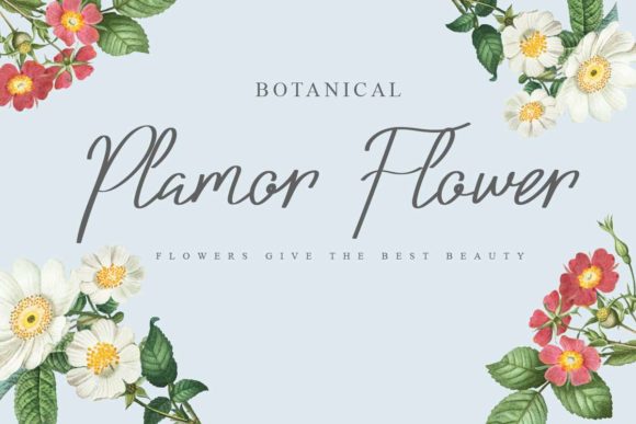 Bolliver Font - Preview 4