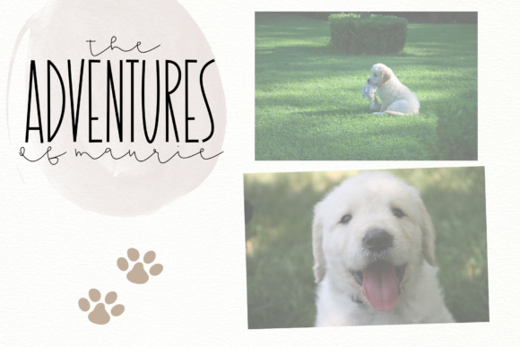 Dandy Dandelions Duo Font - Preview 5