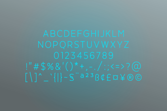 Agnella Light Font - Preview 1