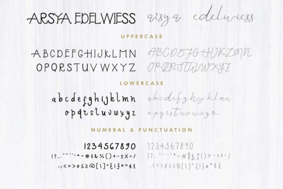 Arsya Edelwiess Duo Font - Preview 4