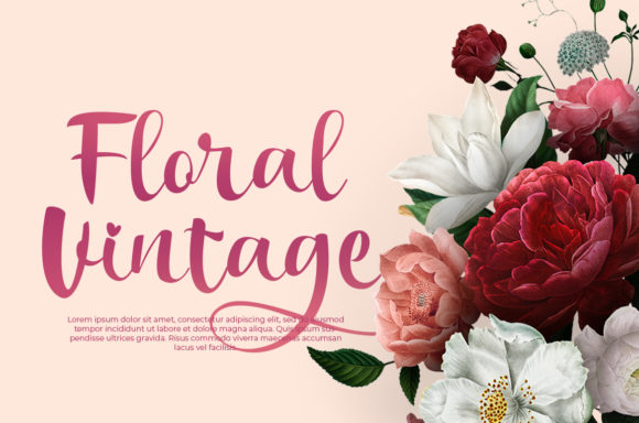 Bakira Font - Preview 3