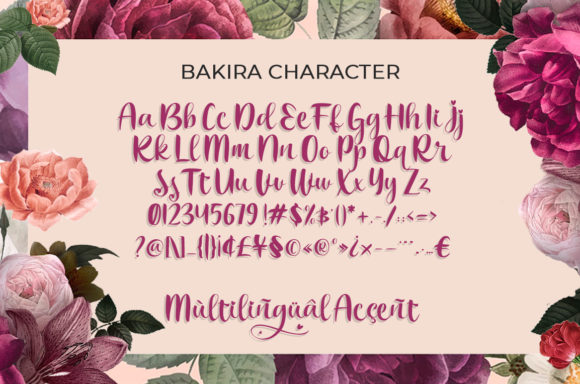 Bakira Font - Preview 4