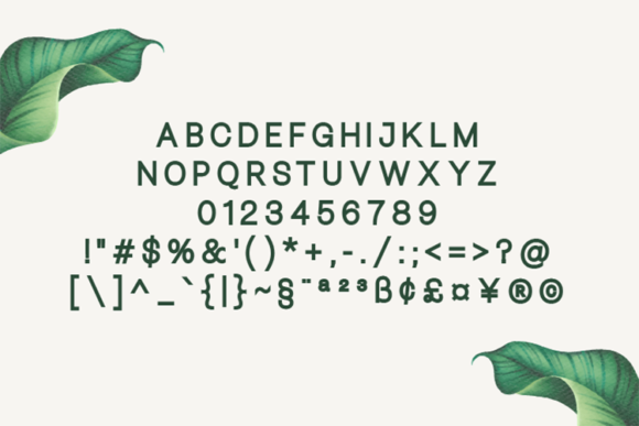 Bellezza Black Font - Preview 1