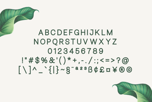 Bellezza Bold Font - Preview 1